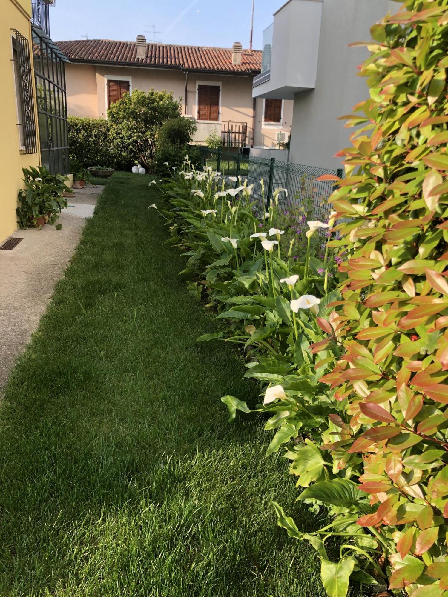 Casa Sivori Sul Lago Di Garda Con Ampio Giardino Desenzano del Garda Exterior foto
